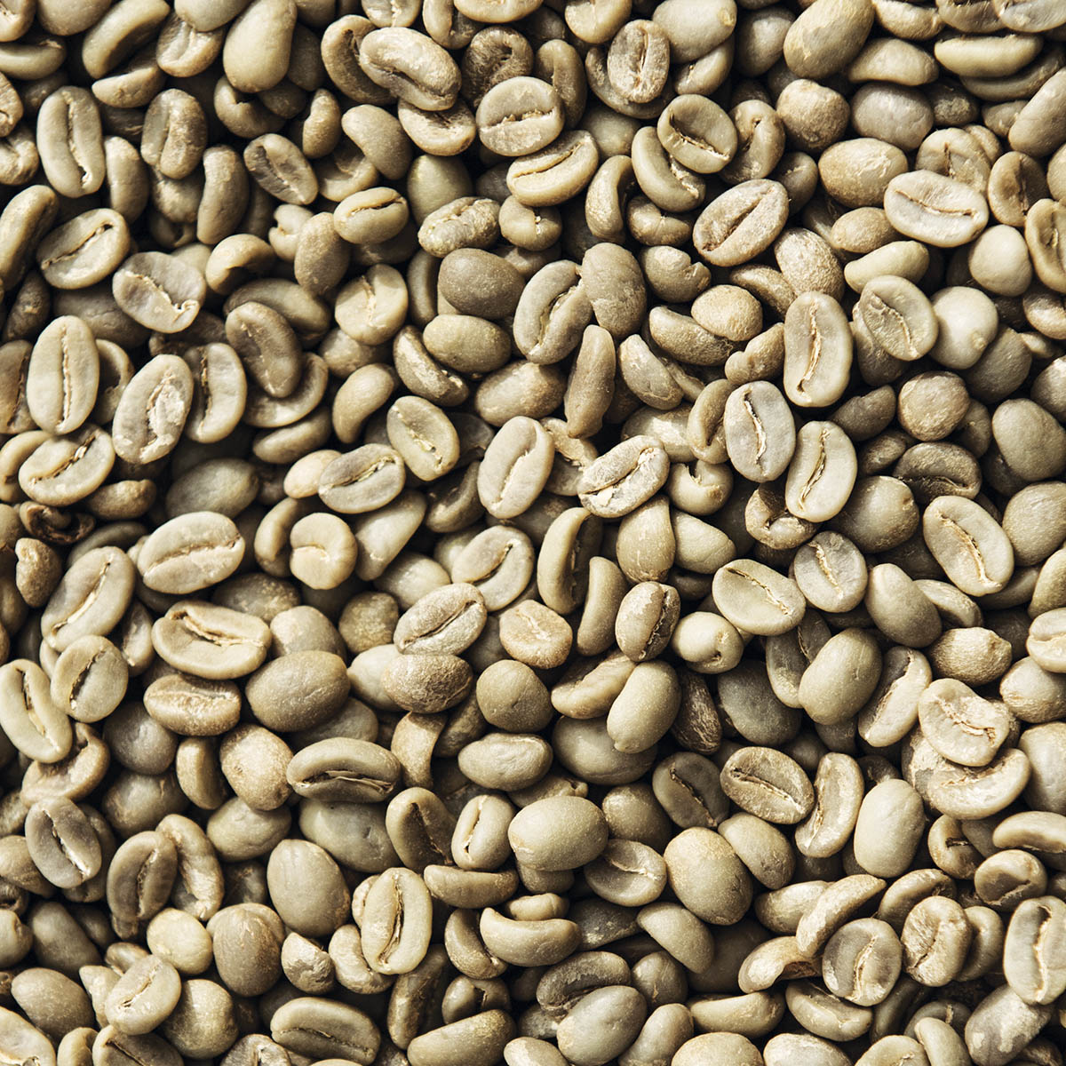 Coffee as a bean