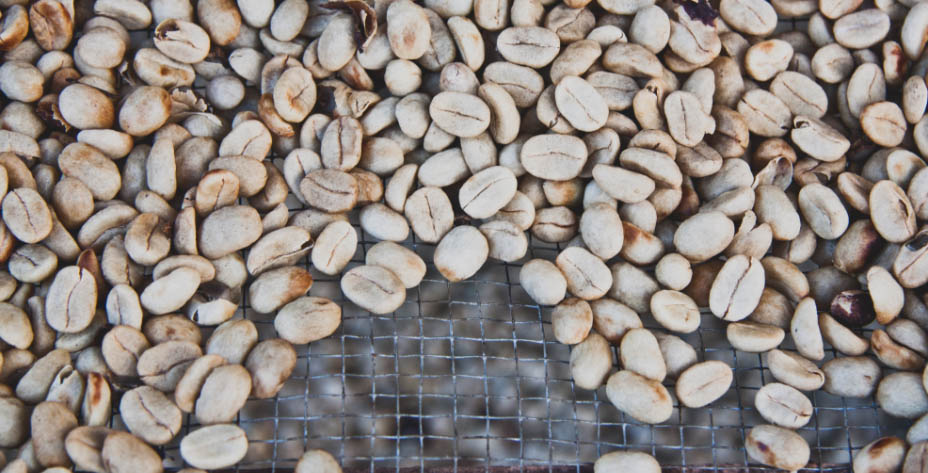 Raw coffee beans on the net