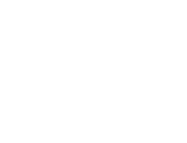 Human figure